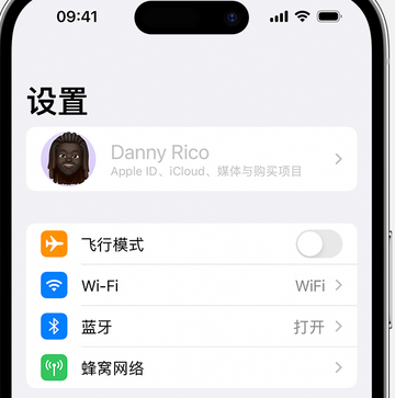 乐至appleID维修服务iPhone设置中Apple ID显示为灰色无法使用 