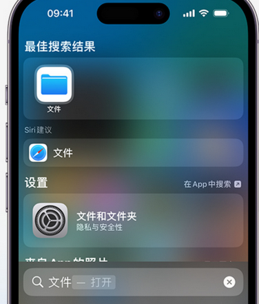 乐至apple维修中心分享iPhone文件应用中存储和找到下载文件 