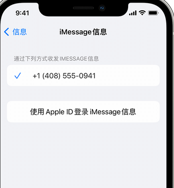 乐至apple维修iPhone上无法正常发送iMessage信息 