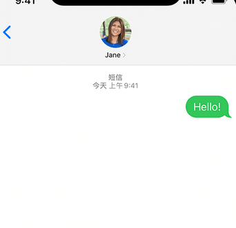 乐至apple维修iPhone上无法正常发送iMessage信息