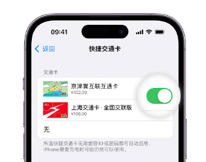 乐至apple维修点分享iPhone上更换Apple Pay快捷交通卡手绘卡面 