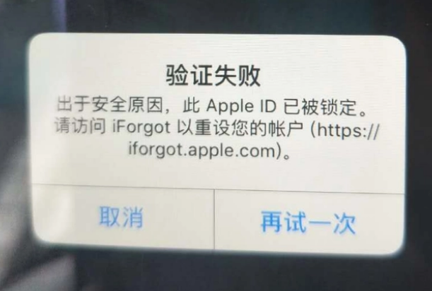 乐至iPhone维修分享iPhone上正常登录或使用AppleID怎么办 