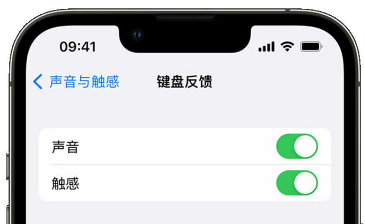 乐至苹果手机维修分享iPhone 14触感键盘使用方法 