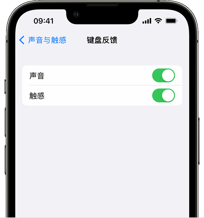 乐至苹果14维修店分享如何在 iPhone 14 机型中使用触感键盘 