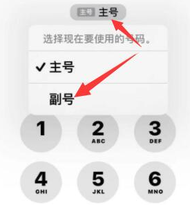 乐至苹果14维修店分享iPhone 14 Pro Max使用副卡打电话的方法 