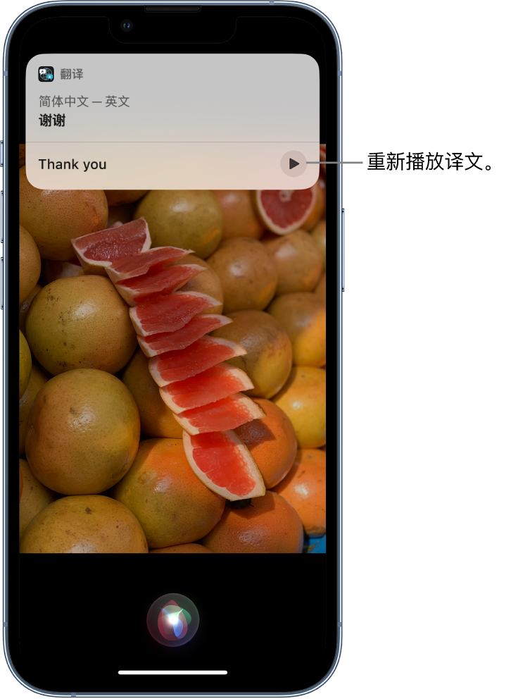 乐至苹果14维修分享 iPhone 14 机型中使用 Siri：了解 Siri 能帮你做什么 