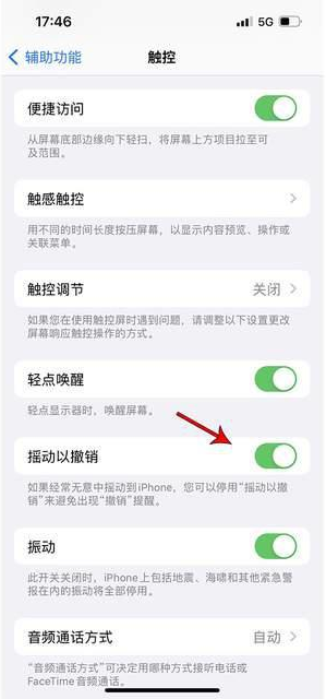 乐至苹果手机维修分享iPhone手机如何设置摇一摇删除文字 