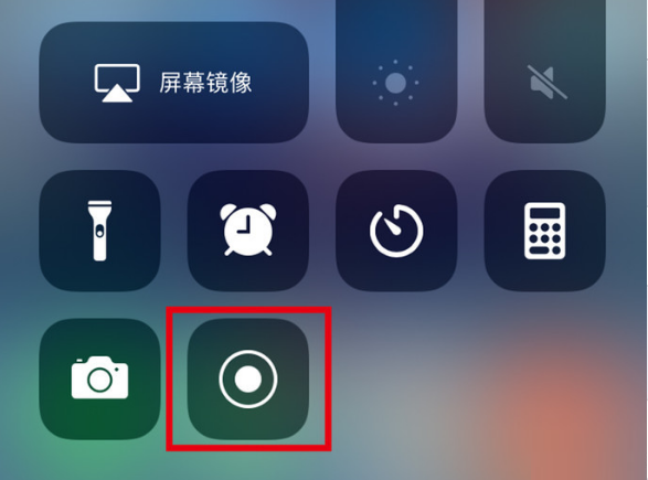 乐至苹果手机维修分享iPhone12录屏方法教程 