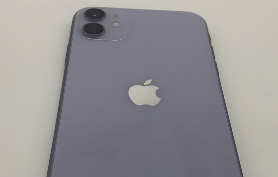 乐至苹果11系统维修分享iPhone11手机系统崩溃无法开机如何解决 